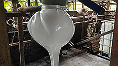 自主研發(fā)能力強